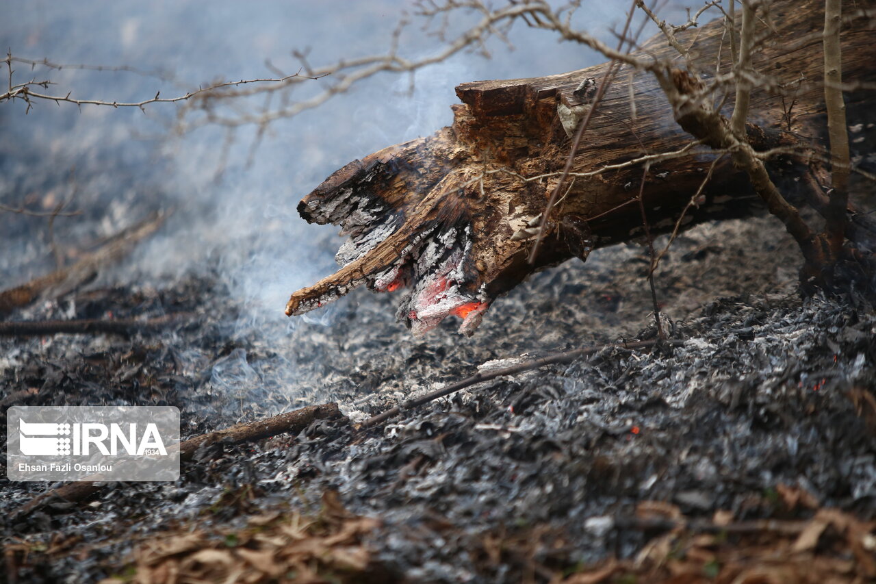 ۳۰ هکتار از طبیعت خراسان رضوی از ابتدای امسال آتش گرفته است ۳۰ هکتار از طبیعت خراسان رضوی از ابتدای امسال آتش گرفته است