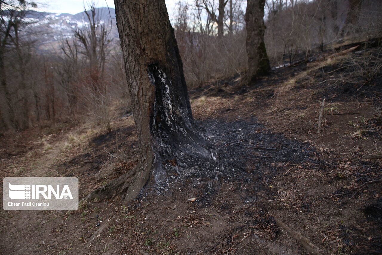 دومین آتش‌سوزی جنگل‌های چالوس خاموش شد 