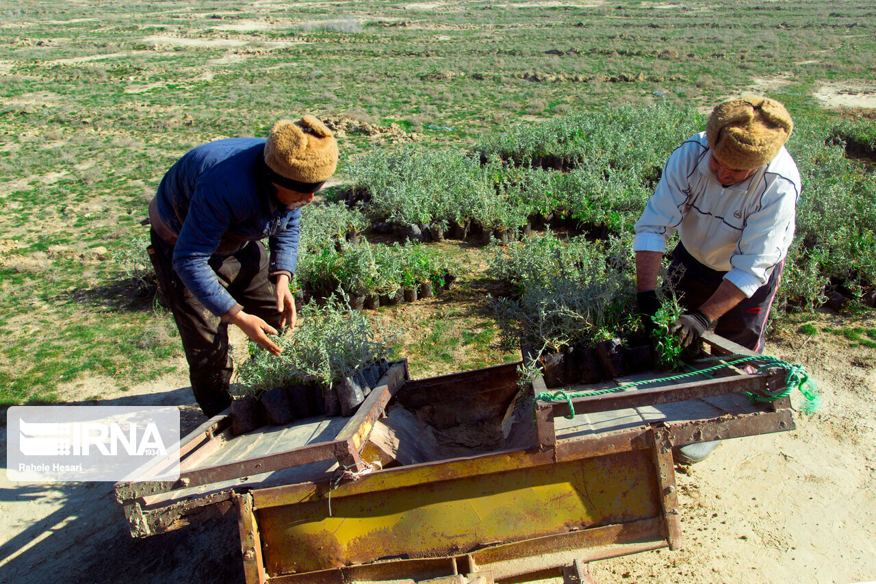 درخواست ۴ هزارمیلیاردتومان تسهیلات ارزان قیمت برای کشاورزان خسارت دیده