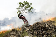 کاهش ۵۰ درصد آتش سوزی منابع طبیعی در مقایسه با سال ۹۹