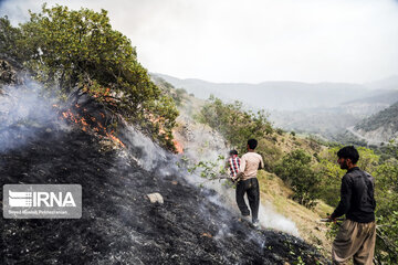 آتش‌سوزی ۱۳۰هکتار جنگل تا تغییر چهار مدیر در گیلان هفته‌ای که گذشت 