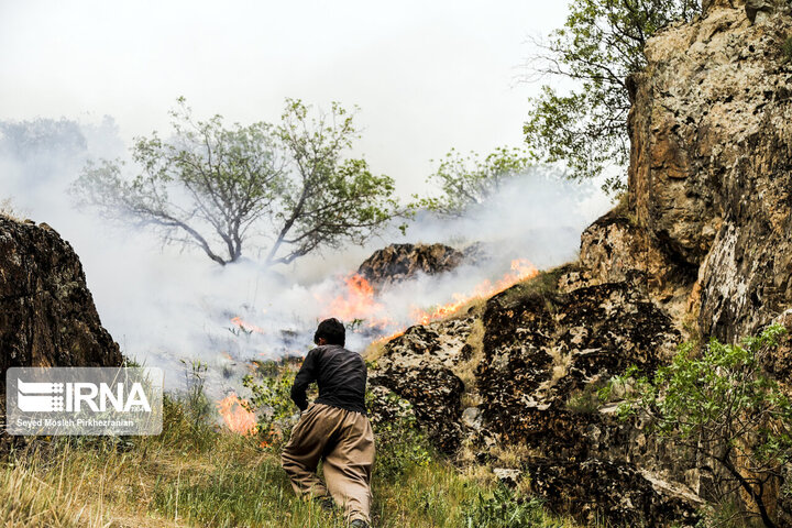 رکورد آتش‌سوزی پاییزی در جنگل‌های مازندران شکسته شد