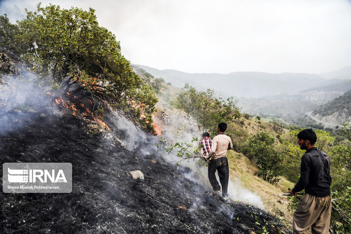 آتش در کوه‌های "باغ تاژ" دشتستان شعله ور شد