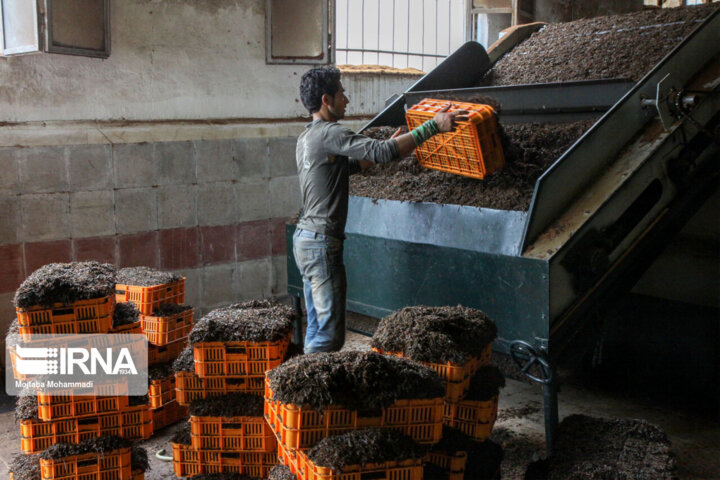 بازخوانی ۸ سال تلاش؛ از احیای واحدهای تولیدی راکد تا رونق مشاغل کوچک