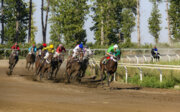 اسب‌های برنده هفته ۲۲ مسابقات اسبدوانی گنبدکاووس معرفی شدند