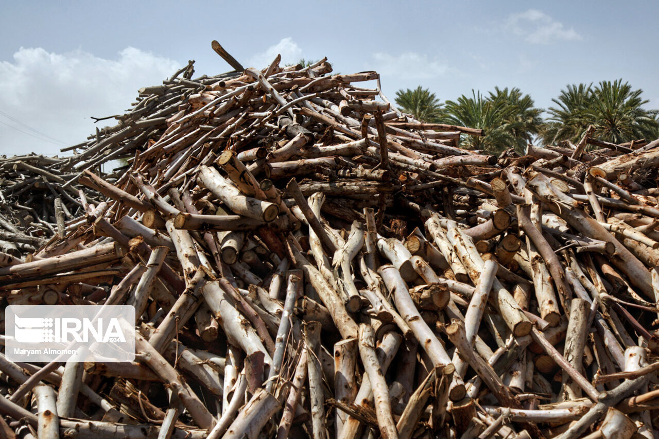 سه محموله کالای قاچاق در بیجار کشف و ضبط شد سه محموله کالای قاچاق در بیجار کشف و ضبط شد