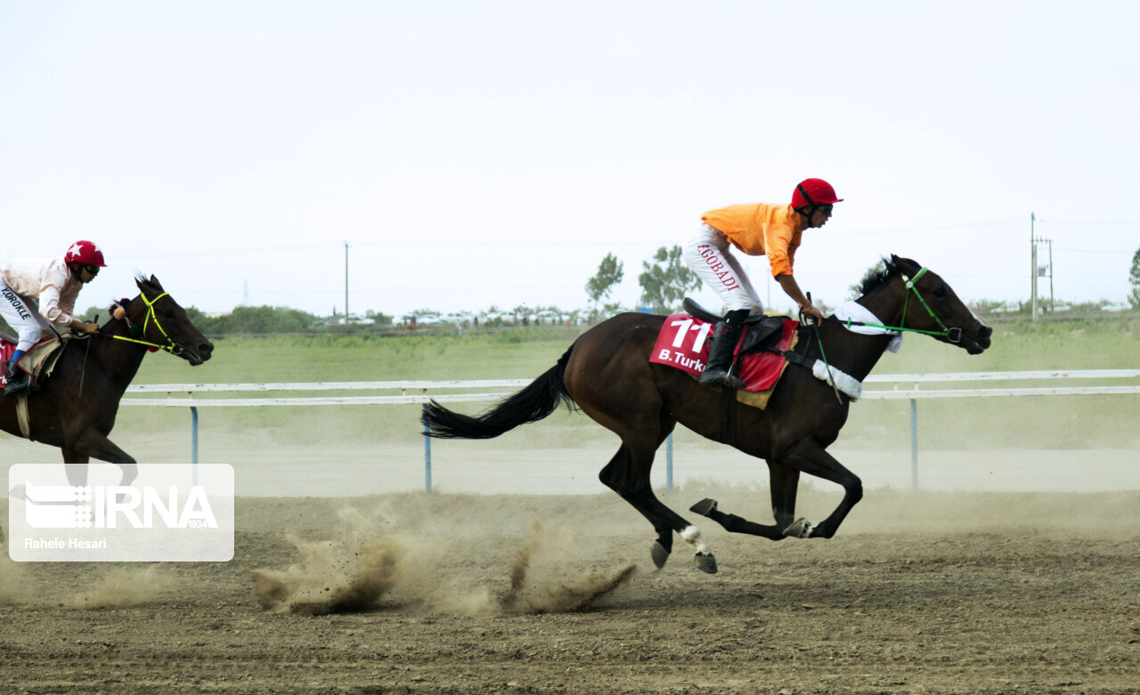 مسابقات پرش با اسب در قزوین برگزار می‌شود