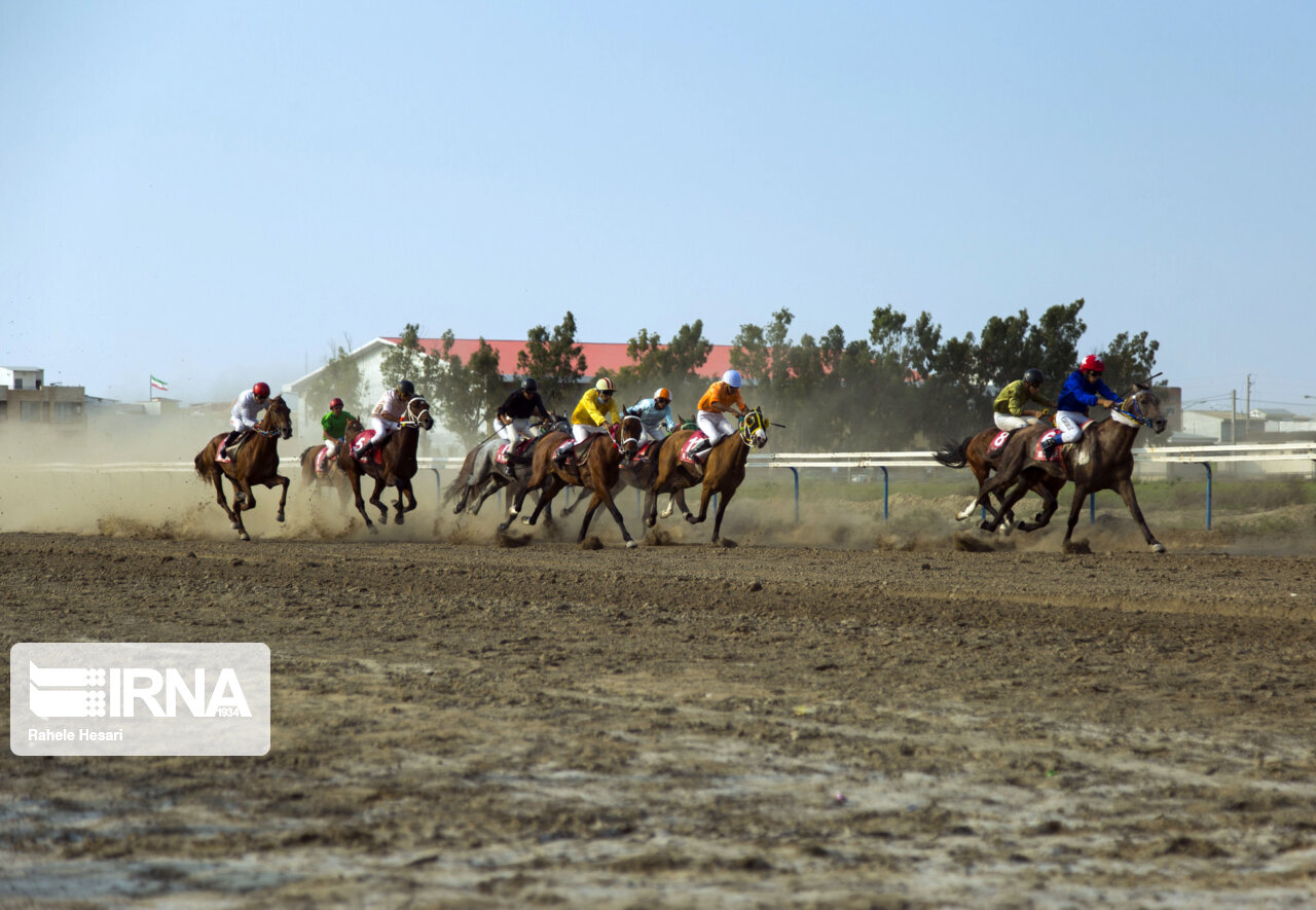 فدراسیون سوارکاری زیر ذرهبین / خلیلی: از تحقیق و تفحص مجلس استقبال میکنیم
