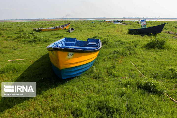 «ایرانگرد» تا ۲۰ فصل میتواند ادامه پیدا کند