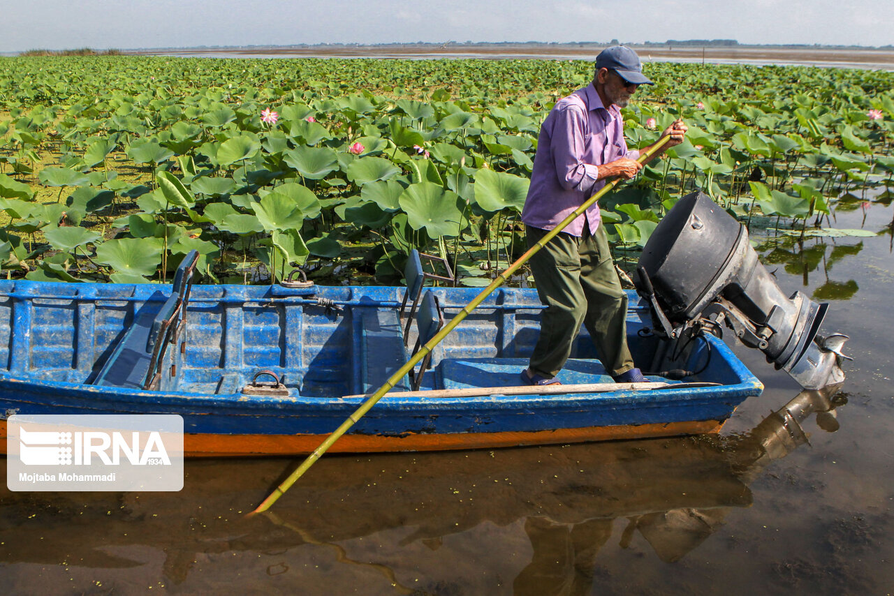 تالاب انزلی همچنان در تب و تاب مالکیت تالاب انزلی همچنان در تب و تاب مالکیت