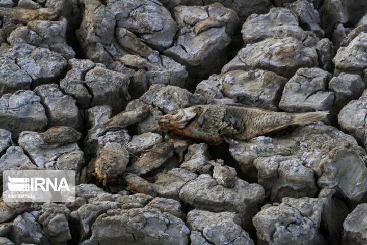 خاموشیهای برقگیر