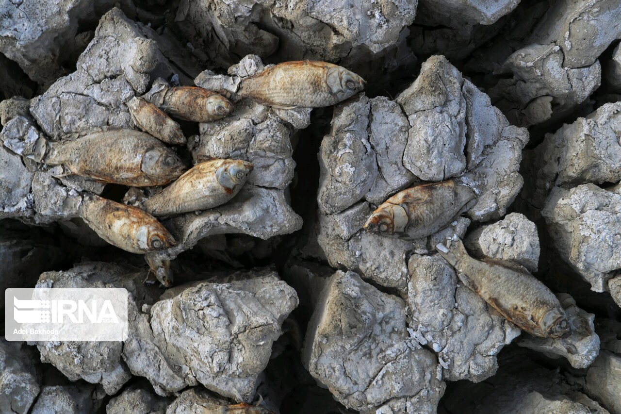 نفسهای داغ آقگُل در تب سوزان خشکسالی  نفسهای داغ آقگُل در تب سوزان خشکسالی