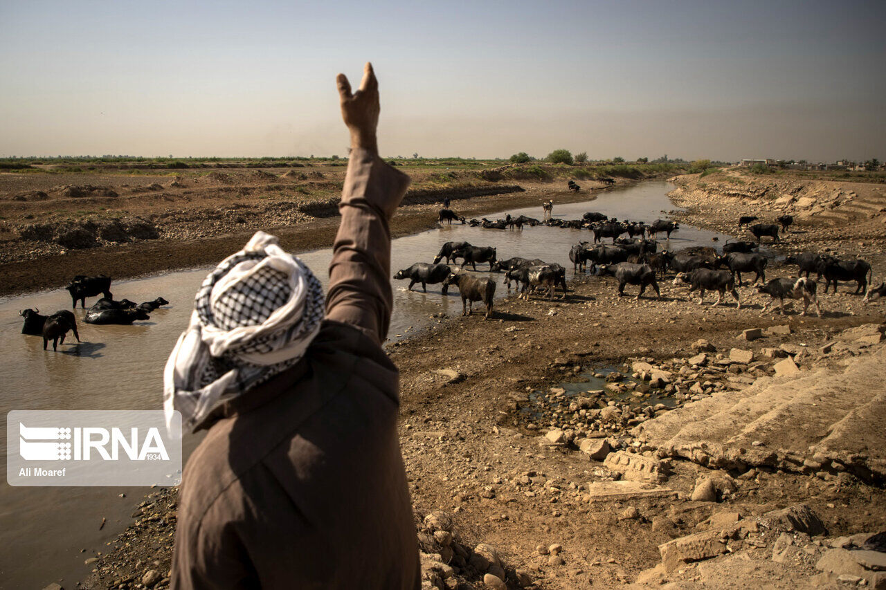 خشکسالی و بحران آب در ایران؛ راه‌حل چیست؟