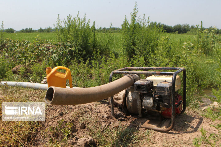 کم بارانی و بازار کساد کشت پاییزه در کهگیلویه و بویراحمد