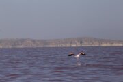 جلسه هماهنگی و بررسی اجرای طرح‌های اولویت‌دار با تاکید بر احیای دریاچه ارومیه برگزار شد