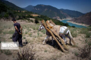 Vergessene Jobs; 'Charbidari' in Mazandaran