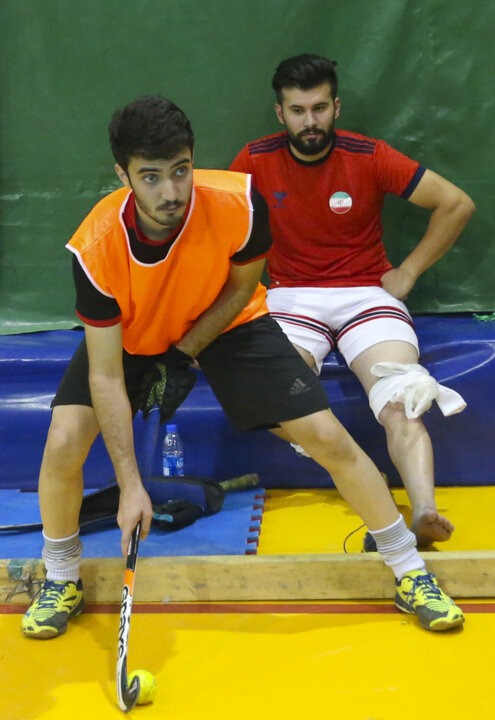 Тренировка национальной сборной по хоккею с шайбой