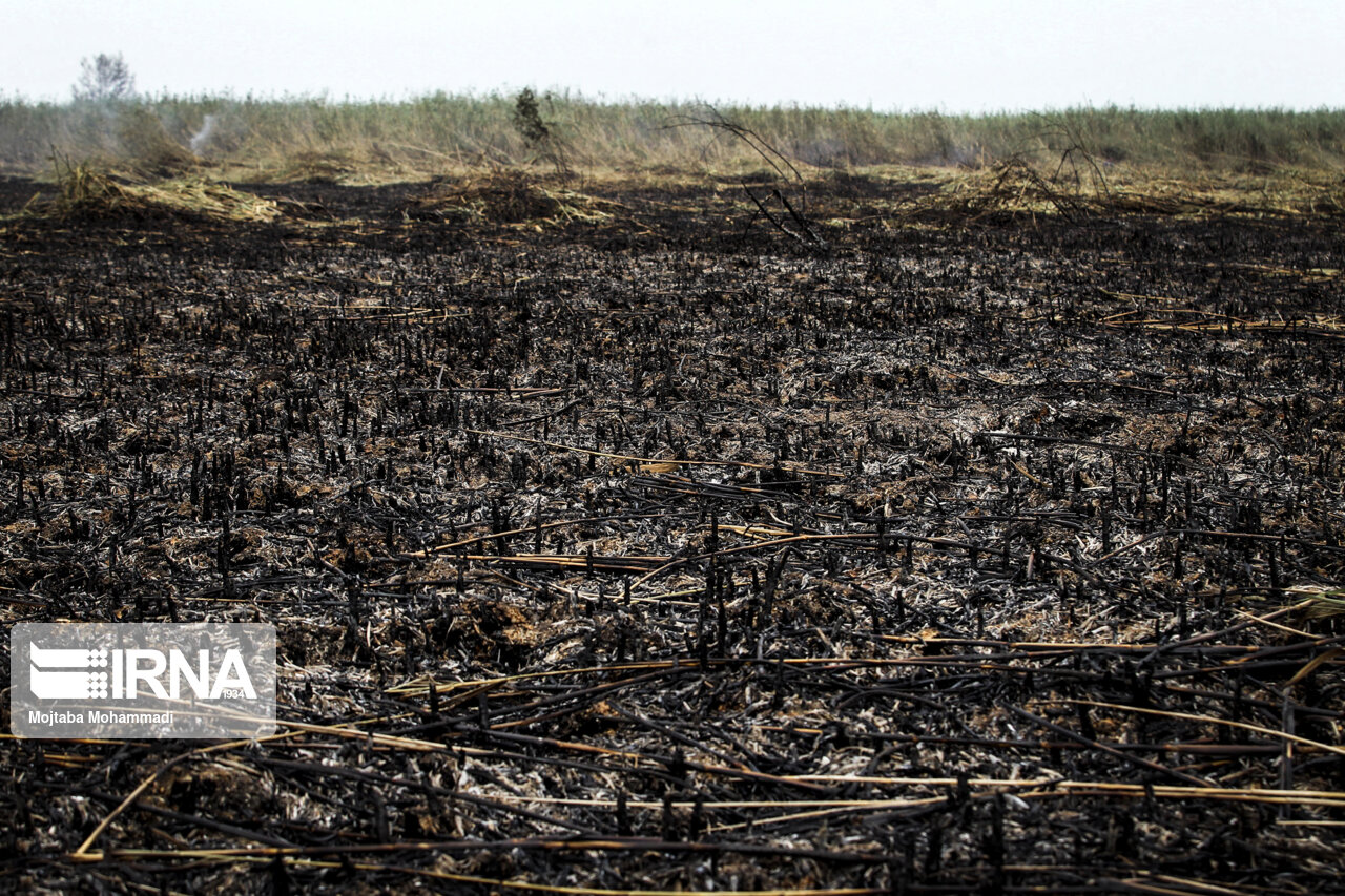 آتشسوزی دور قلات شهرستان نیریز مهار شد آتشسوزی دور قلات شهرستان نیریز مهار شد
