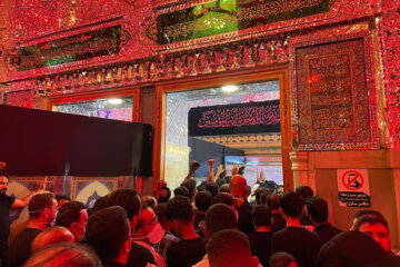 Santuario del Imam Ali (PB) en vísperas del Arbain