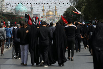 پیاده‌روی جاماندگان اربعین در مشهدالرضا؛ تبلور شور حسینی در مسیر حرم رضوی