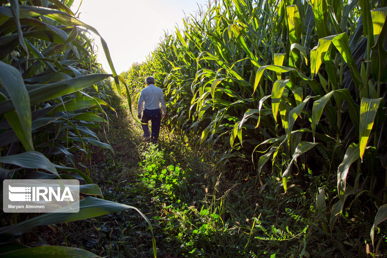 اولویت سفر رییس جمهوری؛ فارس و منابعی که آب میروند  اولویت سفر رییس جمهوری؛ فارس و منابعی که آب میروند