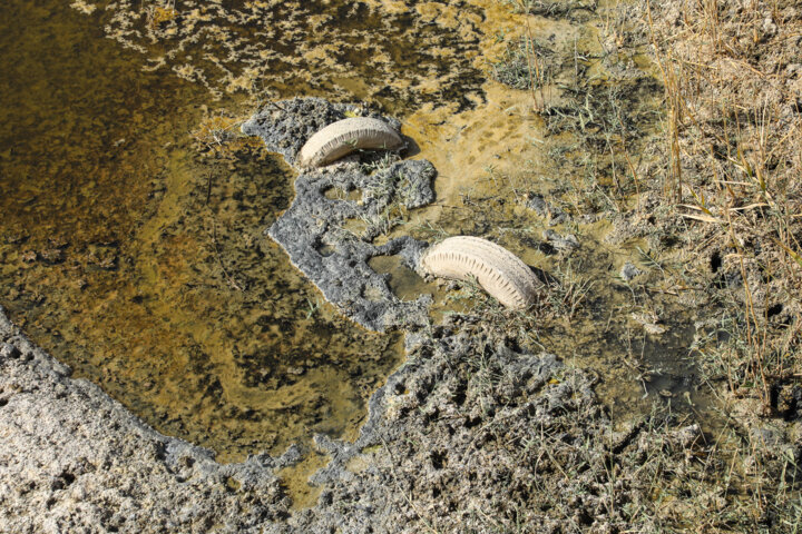 معرفی ۲۶ واحد آلاینده خاک به مراجع قضایی/ورود انواع فاضلاب علت اصلی آلودگی