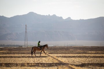 Competición de enduro ecuestre en Irán