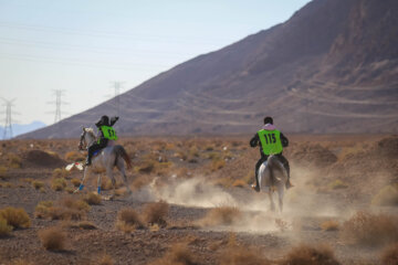 Competición de enduro ecuestre en Irán