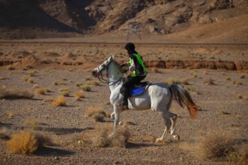 Competición de enduro ecuestre en Irán