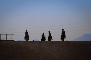 Competición de enduro ecuestre en Irán