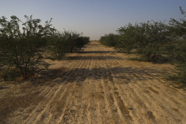 محیط زیست، نخستین قربانی سوءمدیریت و نگاههای سلیقهای - ایرنا