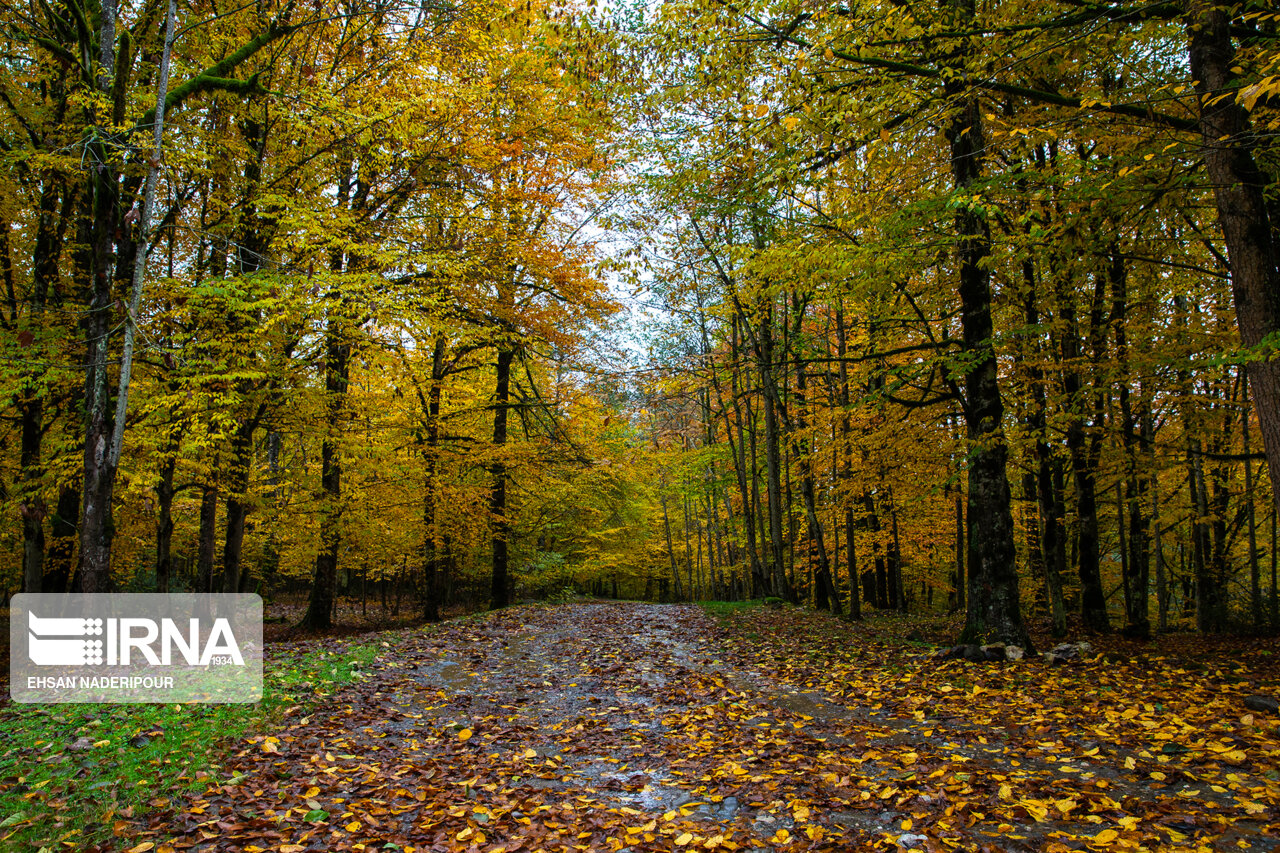 هوای بهاری تا اواسط هفته مهمان گیلان پاییزی هوای بهاری تا اواسط هفته مهمان گیلان پاییزی