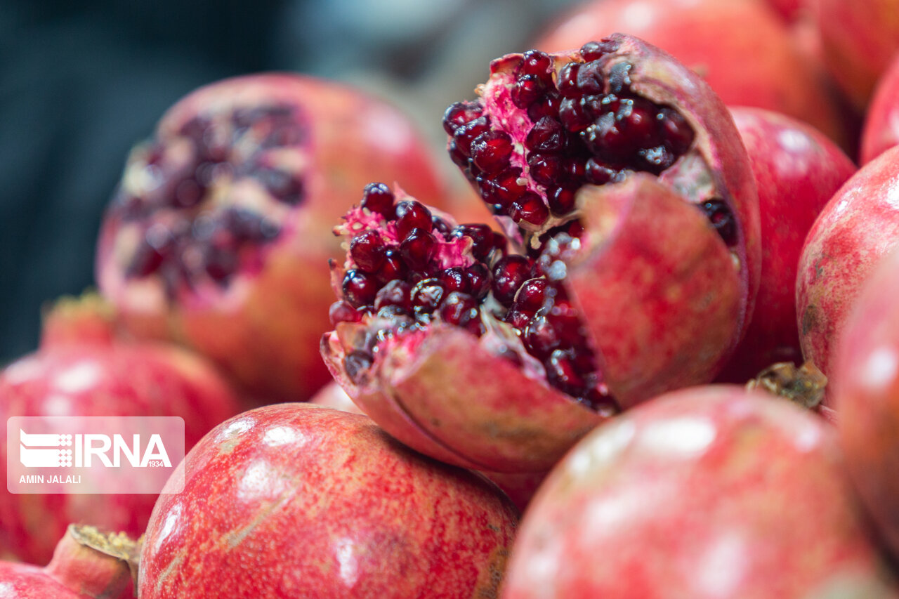 جشنواره انار بجستان خراسان رضوی برگزار شد جشنواره انار بجستان خراسان رضوی برگزار شد