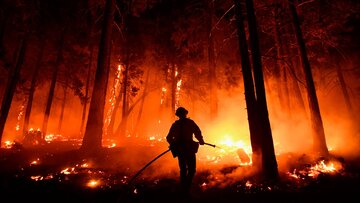آتش سوزی در اراضی ملی قزوین به شدت کاهش یافته است