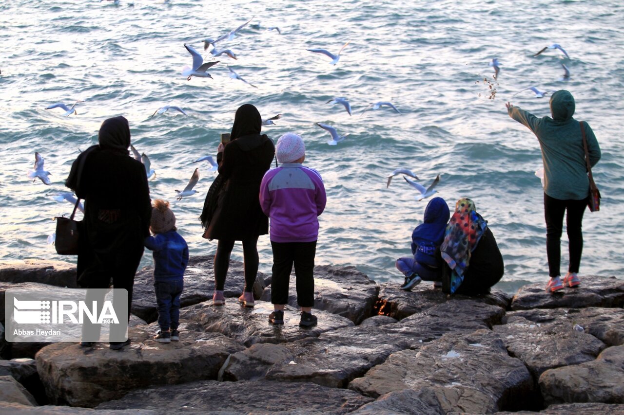 ۱۴۳ محیطبان مقتول در ۴۰ سال گذشته ۱۴۳ محیطبان مقتول در ۴۰ سال گذشته