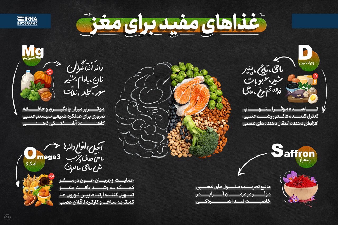 غذاهای مفید برای مغز 1