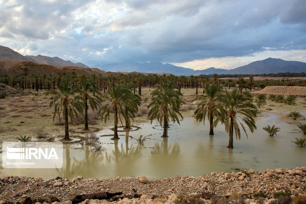 ۲۷۶ حوضه آبخیز در استان بوشهر شناسایی شد ۲۷۶ حوضه آبخیز در استان بوشهر شناسایی شد