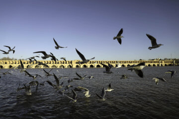 La vie revient à Zayandeh Rud à Ispahan