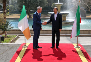 وزیر امور خارجه ایرلند با امیرعبداللهیان دیدار کرد