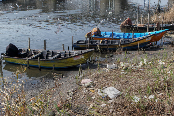 خزر در بن بست سفره خالی صید