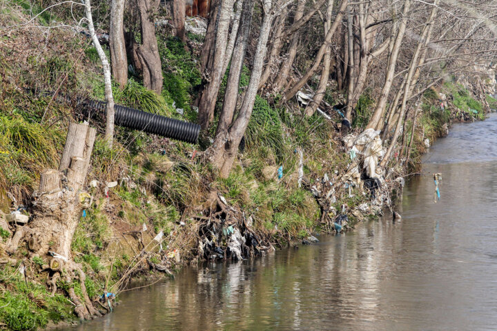 همه مبتلایان به وبا در مشهد سابقه حضور در کشور عراق را داشتهاند