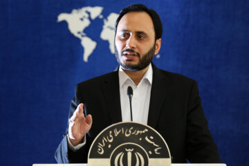سخنگوی دولت: ایران در شرایط تحریم هم میزبان مهاجران افغانستانی بوده است