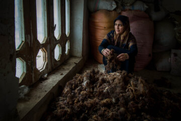 قبل از بافت نمد زنان پشم چیده شده گوسفند راحلاجی و  آماده می کنند