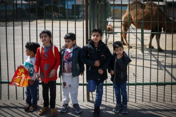 حضور  کودکان در باغ وحش وکیل آباد مشهد