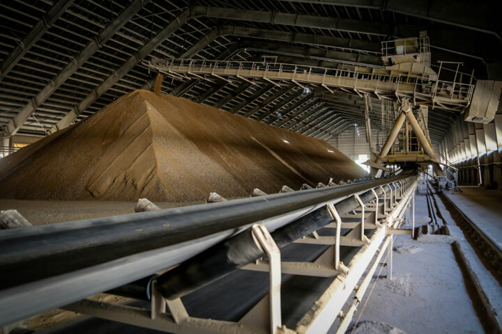 گرانی سیمان در کرمان؛ علتها و راهکارها