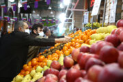 عرضه میوه شب عید ۱۰ درصد زیر قیمت بازار/ توزیع ۱۵ هزار تن در کشور