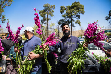 Marché aux fleurs de Chiraz à l’approche du Nouvel An