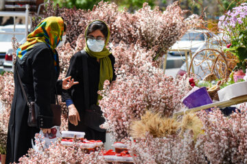 Marché aux fleurs de Chiraz à l’approche du Nouvel An