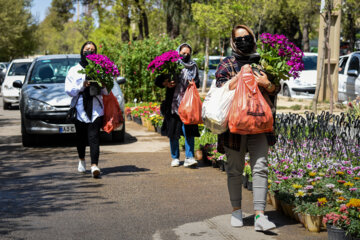 Marché aux fleurs de Chiraz à l’approche du Nouvel An