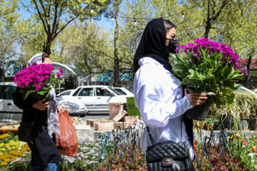 Marché aux fleurs de Chiraz à l’approche du Nouvel An